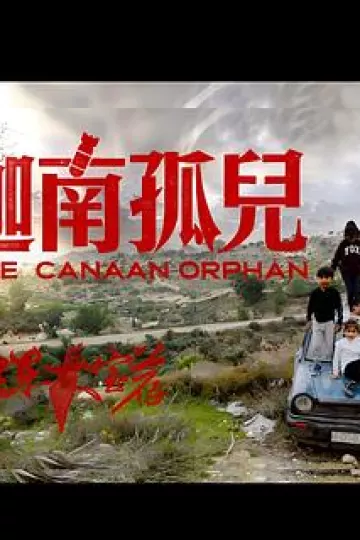 中东大宝荐2