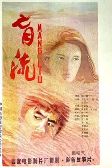 盲流1987