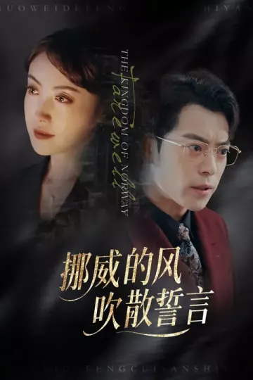 挪威的风,吹散誓言