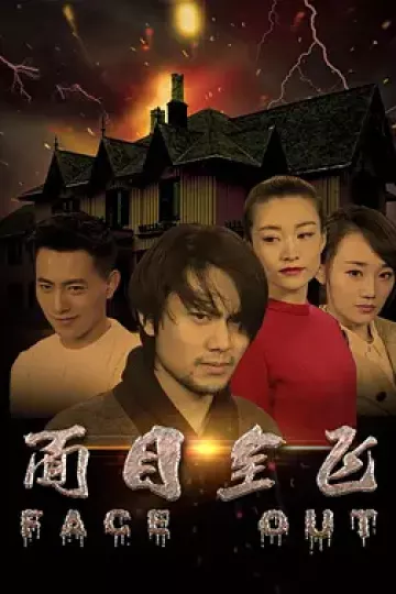 面目全飞