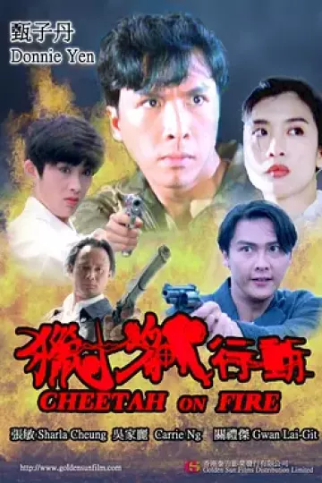猎豹行动1992[电影解说]