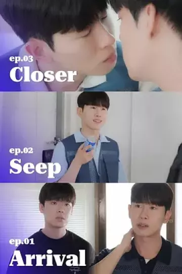 签收你的爱