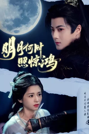 明月何时照惊鸿