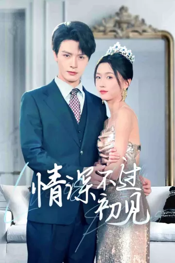 情深不过初见