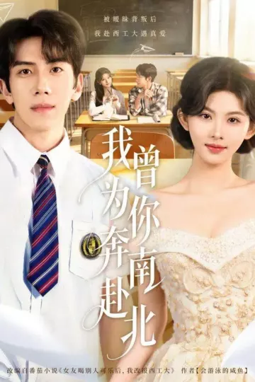 我曾为你奔南赴北