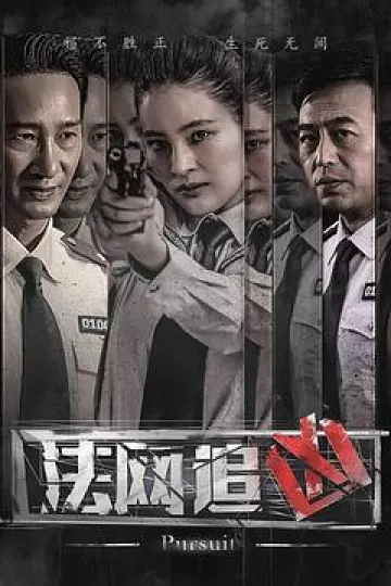 法网追凶[电影解说]