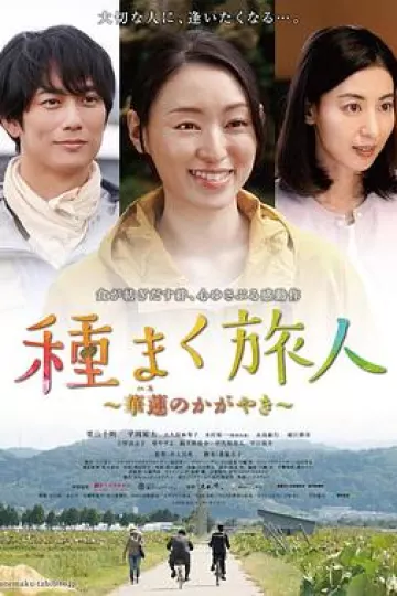 播种的旅人 华莲的光辉