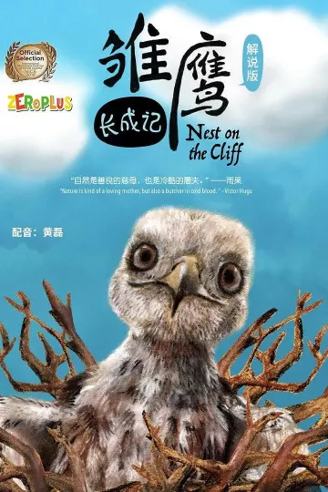 雏鹰长成记
