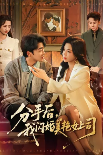分手后,我闪婚美艳女上司