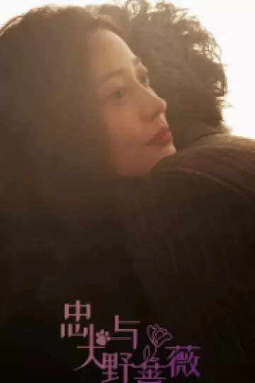 忠犬与野蔷薇