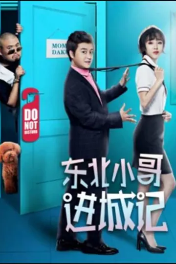 东北小哥进城记