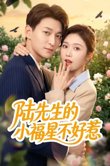 陆先生的小福星不好惹