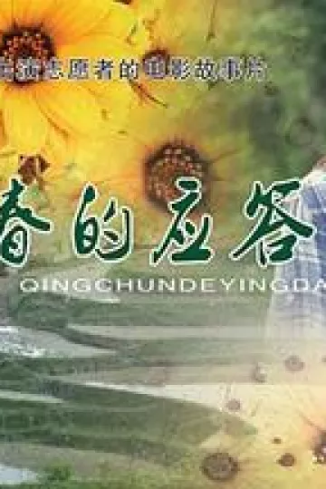 青春的应答