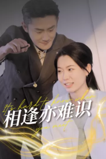相逢亦难识