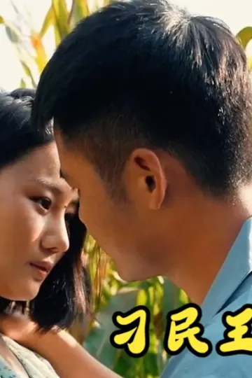 刁民王小二