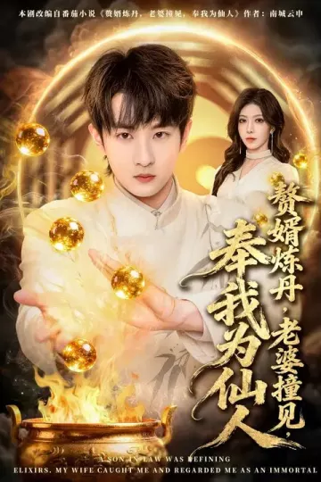 赘婿炼丹,老婆撞见,奉我为仙人