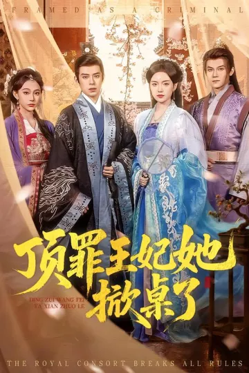 顶罪王妃她掀桌了