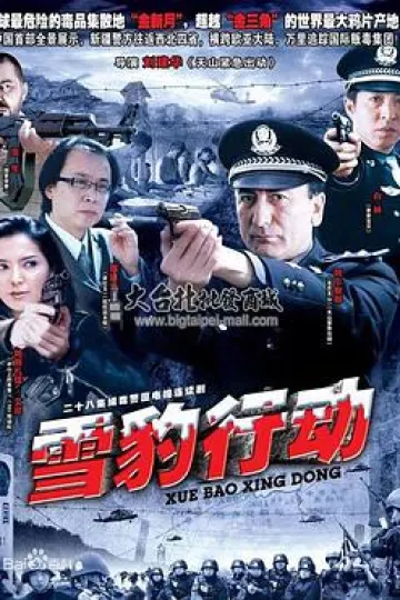 雪豹行动