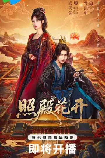 照殿花开
