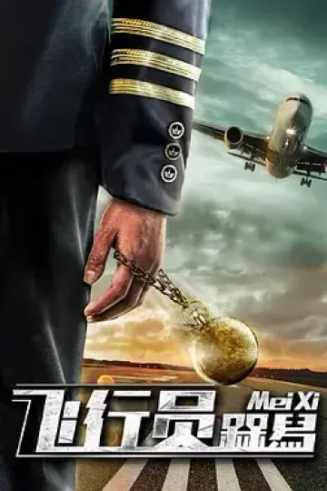 飞行员呆呆鸟