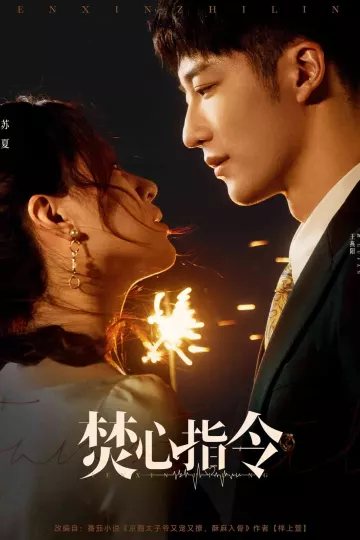 焚心指令