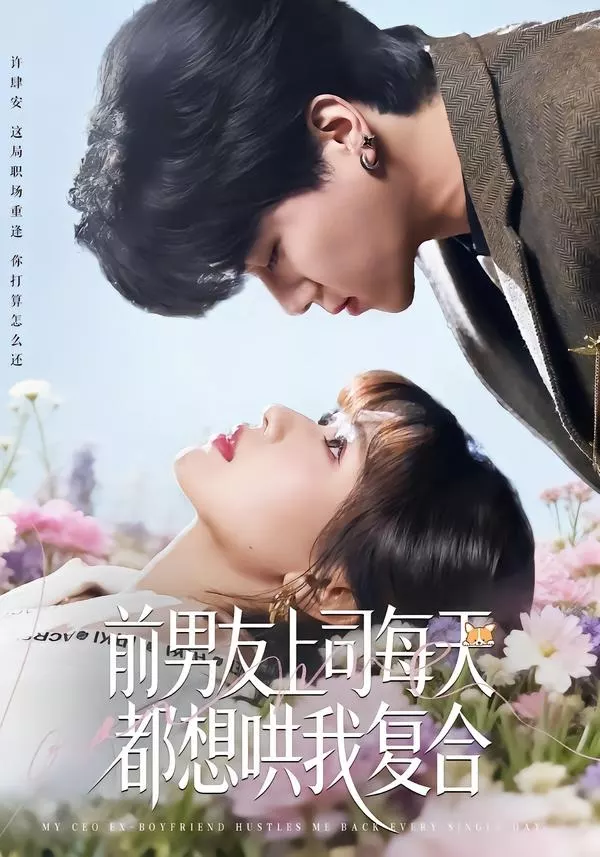 前男友上司每天都想哄我复合