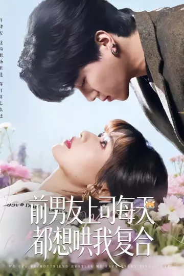 前男友上司每天都想哄我复合