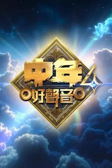 中年好声音4