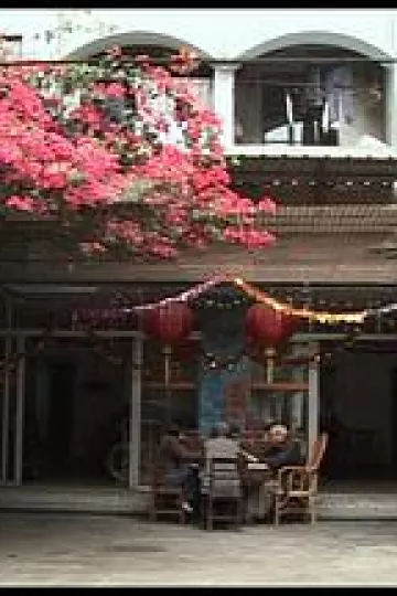 自梳2010