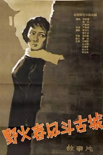 野火春风斗古城[电影解说]