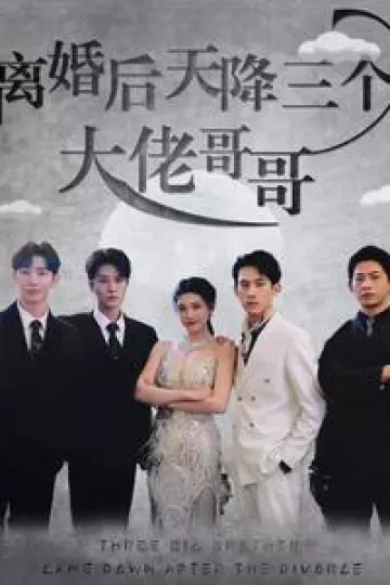 离婚后天降三个大佬哥哥