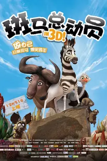 斑马总动员