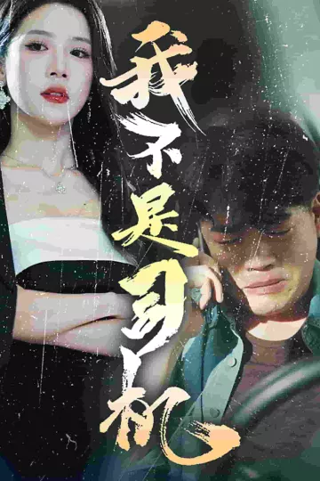 我不是司机