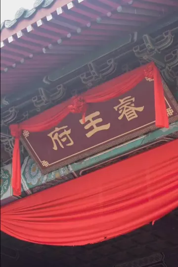 新：王妃她又美又飒