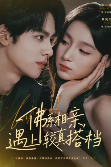 佛系相亲，遇上较真搭档