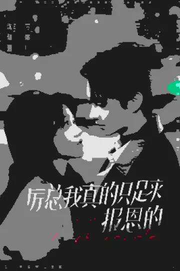厉总我真的只是来报恩的