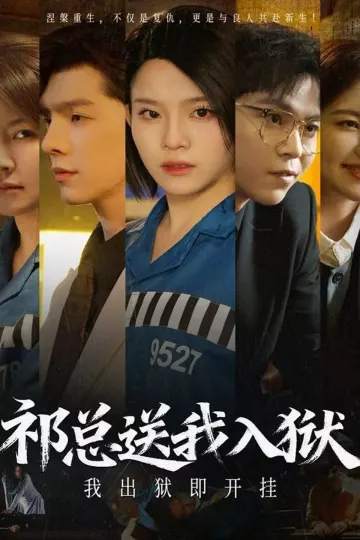 祁总送我入狱,我出狱即开挂