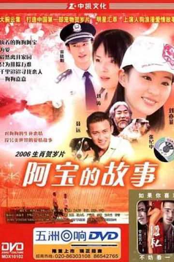 阿宝的故事
