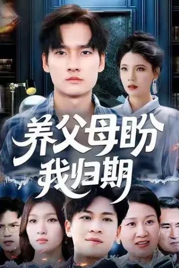 养父母盼我归期