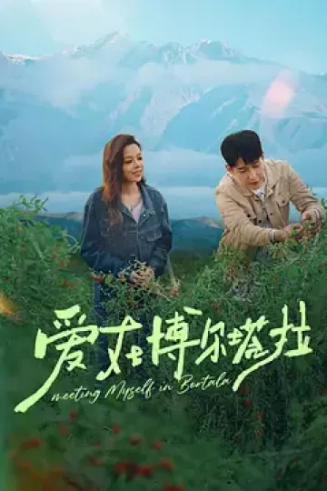 爱在博尔塔拉