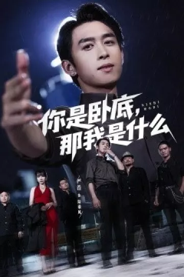 你是卧底那我是什么