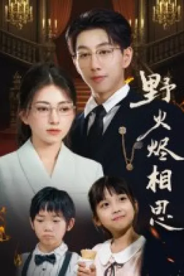 野火烬相思
