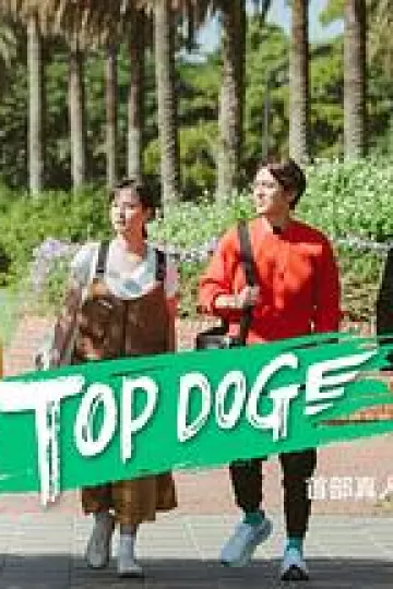 TOP DOG