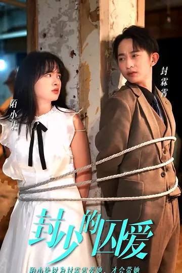 封少的囚爱