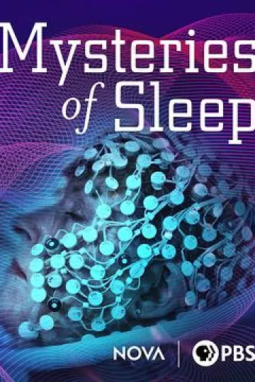 睡眠之谜