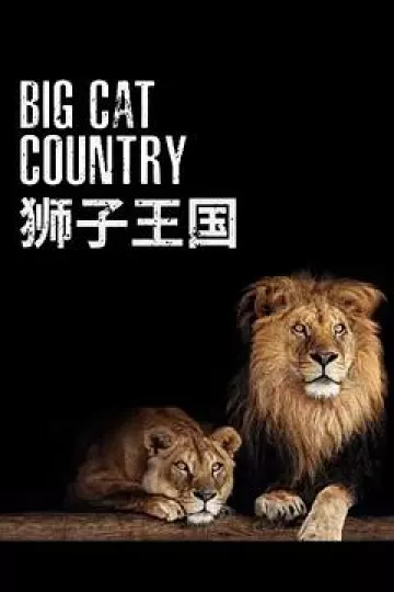 狮子王国