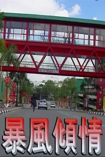暴风倾情