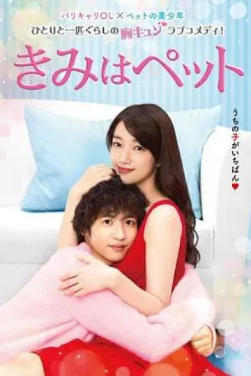 宠物情人2017