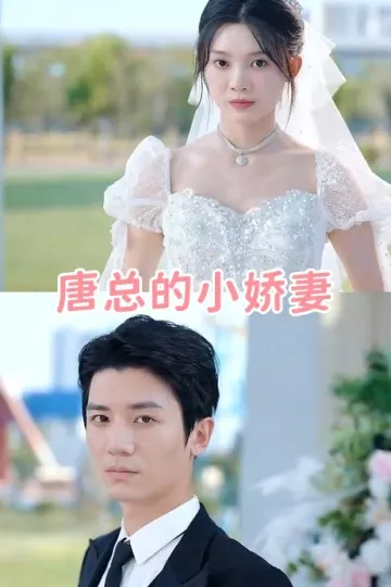 唐总的小娇妻