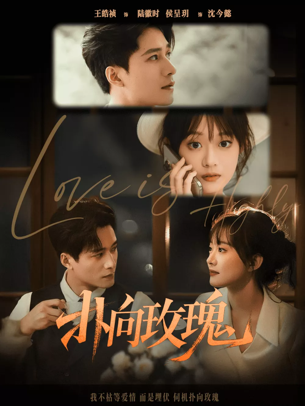 扑向玫瑰